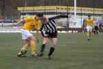 Fortuna Plauen - BCE 08/09