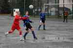 BCE-Hohenstein Halbfinale 08/09